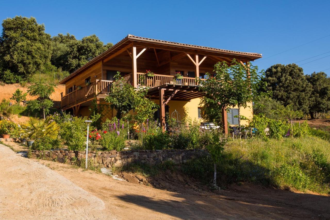 U Me Sognu Villa Arbellara ภายนอก รูปภาพ