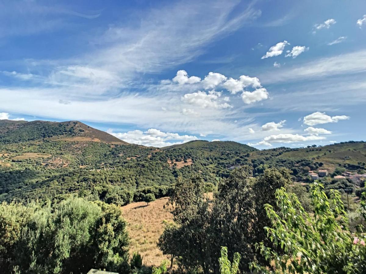 U Me Sognu Villa Arbellara ภายนอก รูปภาพ
